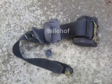 Rollgurt hinten links 043018 f�r Fiat Punto (176)