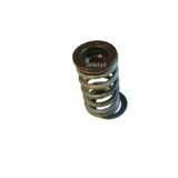 Ventilfeder 95267 f�r 2,1TD (XUD11BTE) 12V