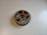 Nockenwellenrad 46460604 f�r Fiat Marea Brava Bravo 1,6l 16V 103PS