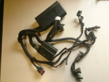 Kabelbaum 09136434 f�r Opel Vectra B 1,6l 16V Z16XE